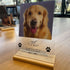 Pet Memorial Custom Portrait Acrylic Plaque